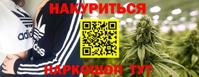 шишки Кимры