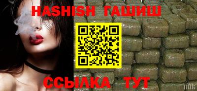 амф Кингисепп