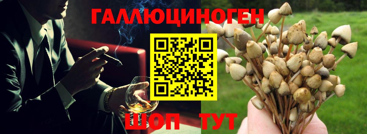 Галлюциногенные грибы ЛСД Мыски